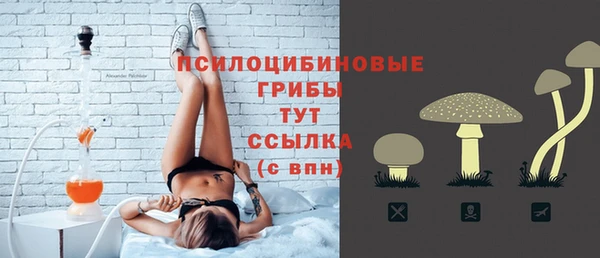 гидропоника Аркадак