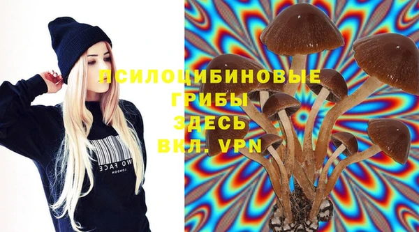 крисы Армянск