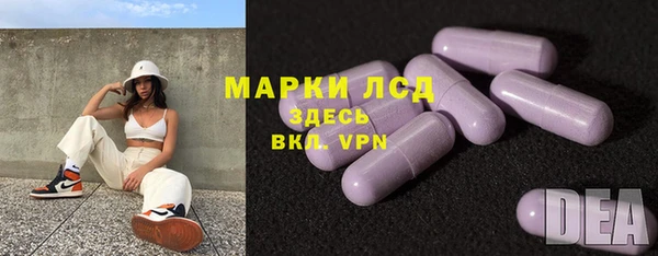 крисы Армянск